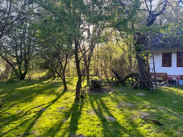 Integration Healing Garden