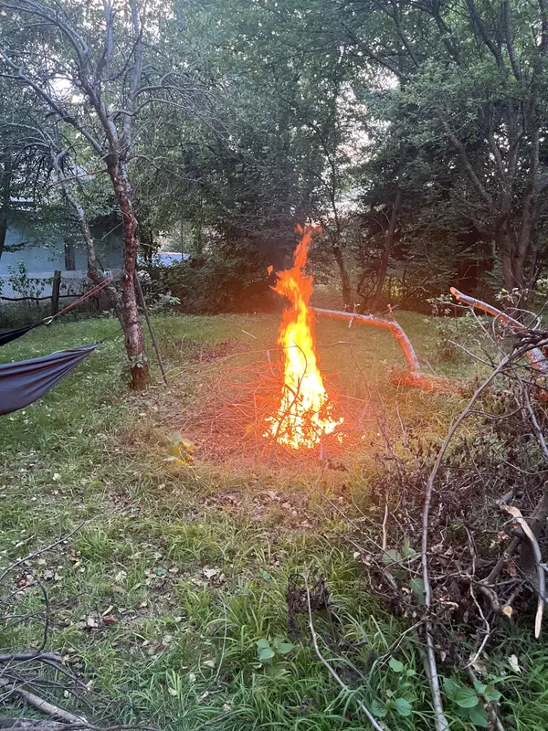 Integration Healing Garden