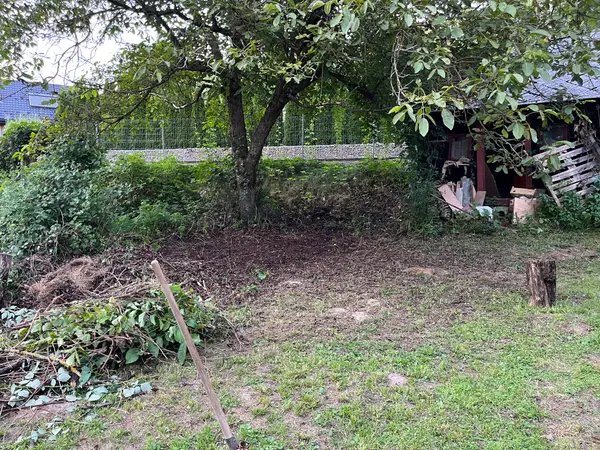 Integration Healing Garden