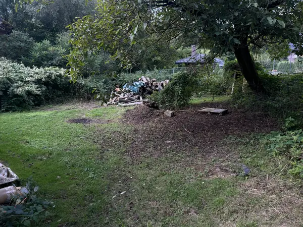 Integration Healing Garden