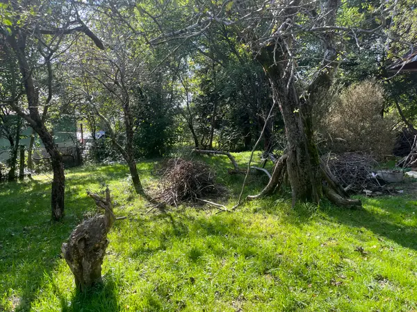 Integration Healing Garden