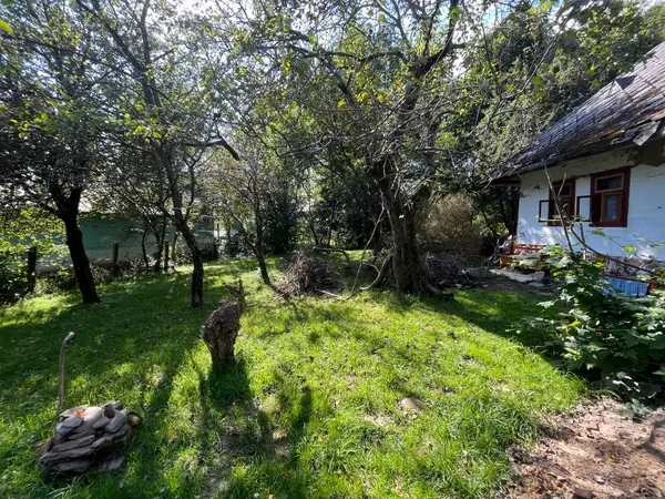 Integration Healing Garden